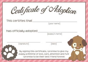 adoption300