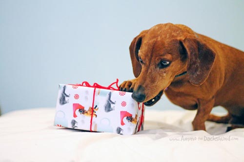 gift500