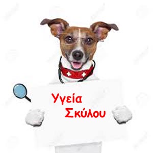 ygeia300